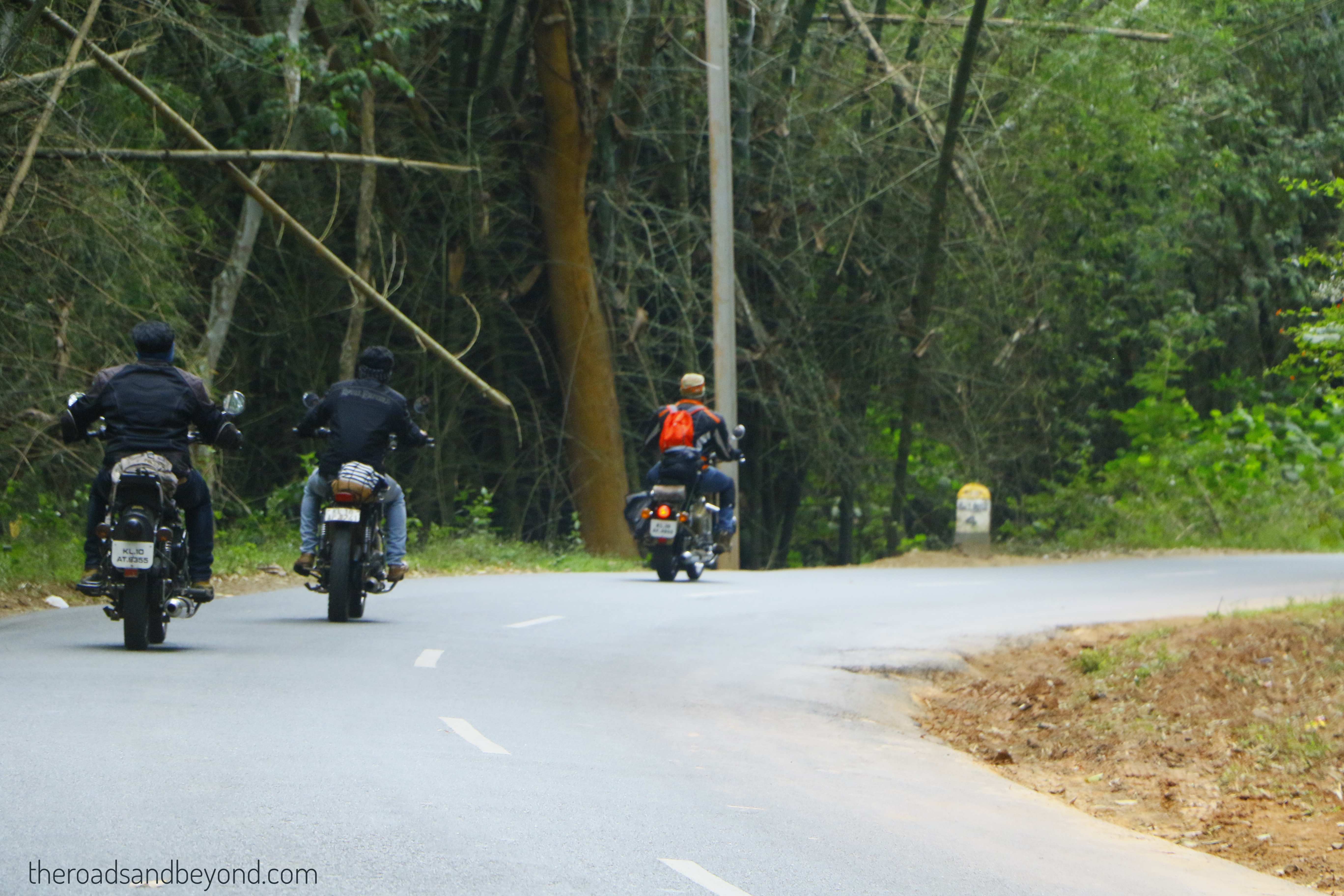 Nilgiri road trip